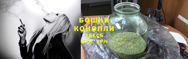spice Алексеевка