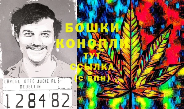 spice Алексеевка