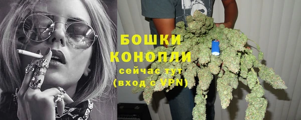 гашик Мегион