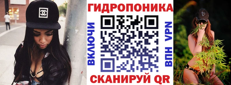 закладки  Димитровград  Каннабис ГИДРОПОН 